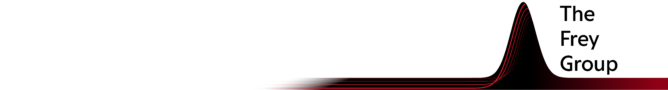 Frey Research Group